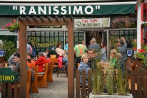 36176223 848203075389142 8794133726847041536 o 848203072055809